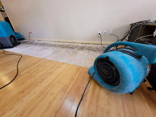 Professional Emergency Water Damage technician working in Aurora, TX